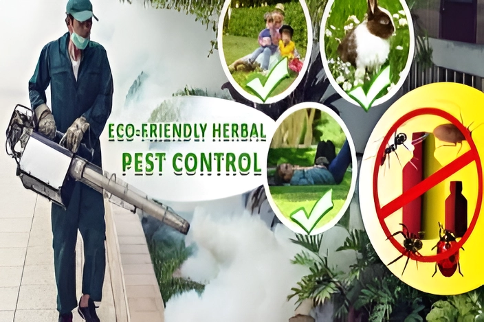 Herbal Pest Control Services